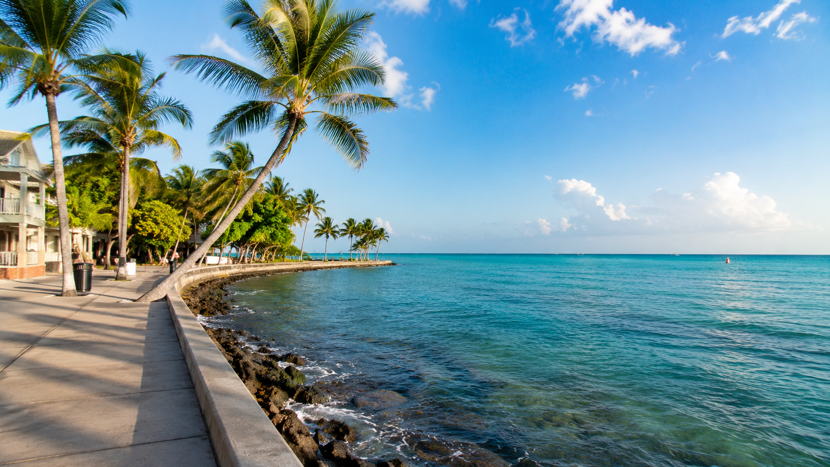 Key West Tours from Miami: Your Complete 2026 Guide — Florvania